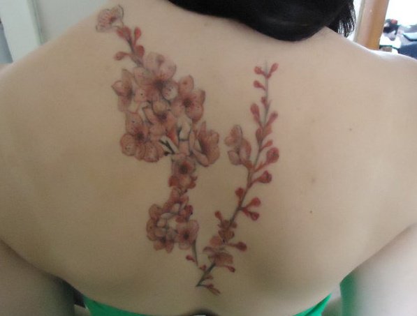 Cherry Blossoms on Skin